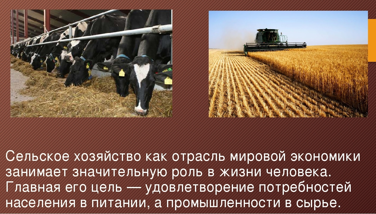 Формы собственности (земельный режим) и их роль в социально-экономической организации сельского хозяйства