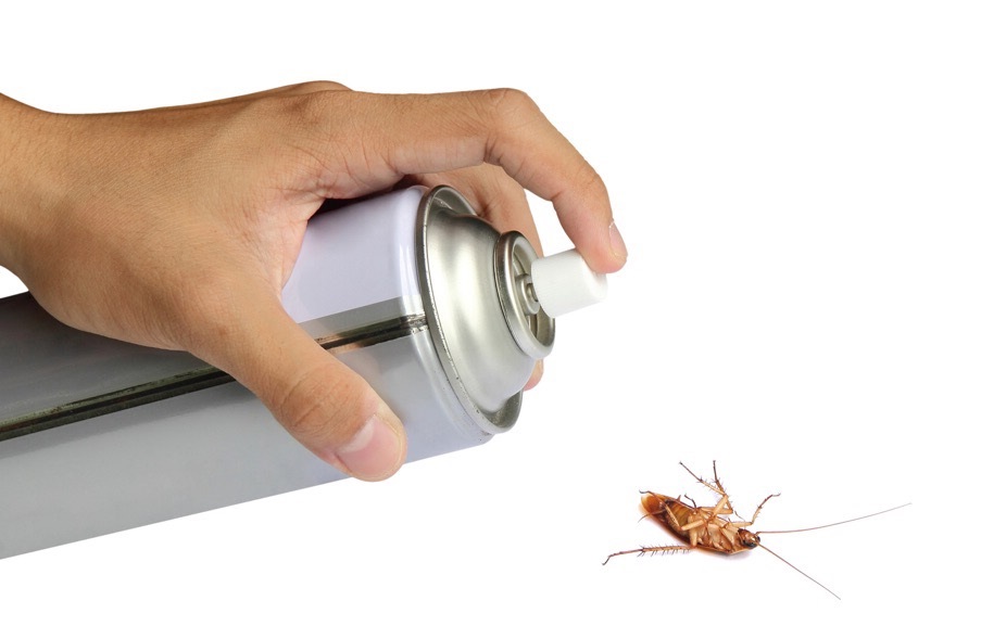 как избавиться от тараканов в квартире раз и навсегда самостоятельно в домашних условиях